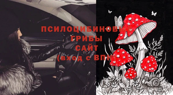 МДПВ Аркадак