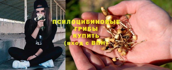 МДПВ Аркадак