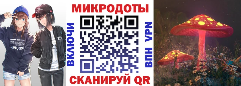 Галлюциногенные грибы MAGIC MUSHROOMS  купить наркотики цена  Бородино 